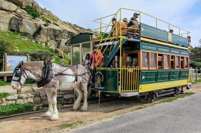 Horse-Drawn Tram in Australia