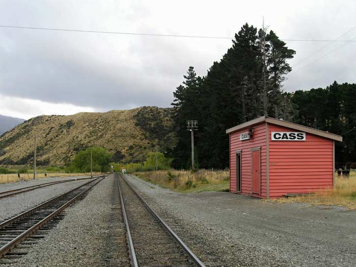 Cass (New Zealand)